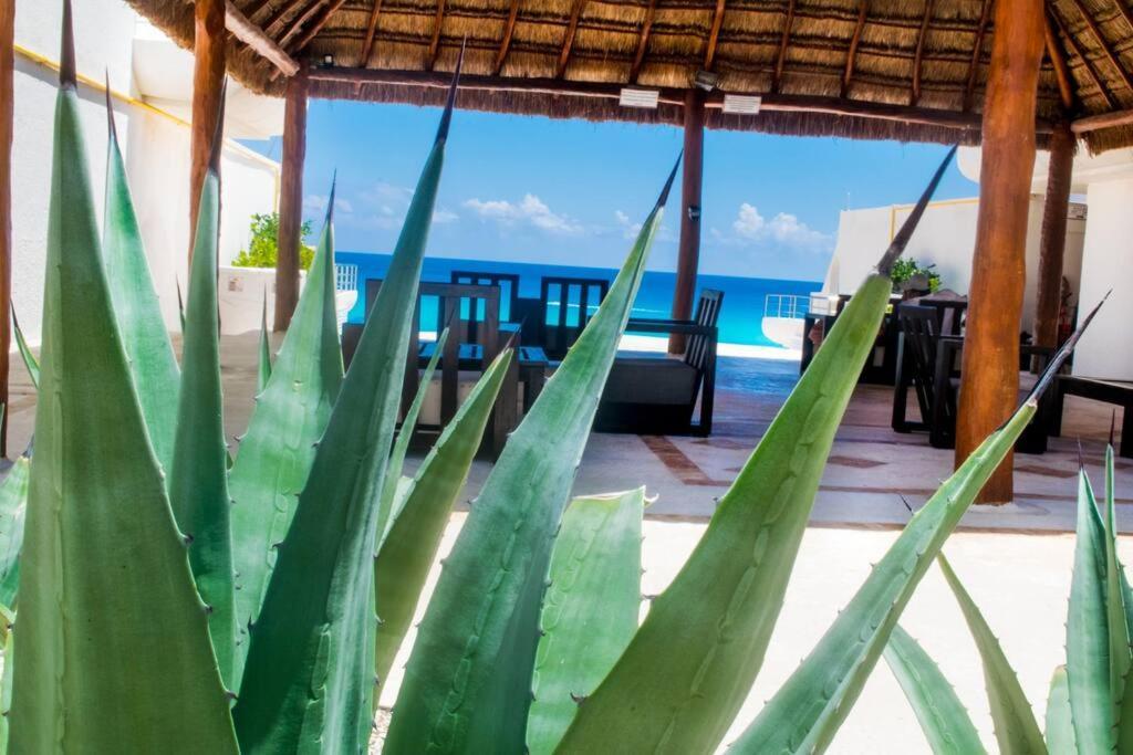 Ocean View Apartment, Best Beach Area, 3 Bedrooms Cancun Bagian luar foto