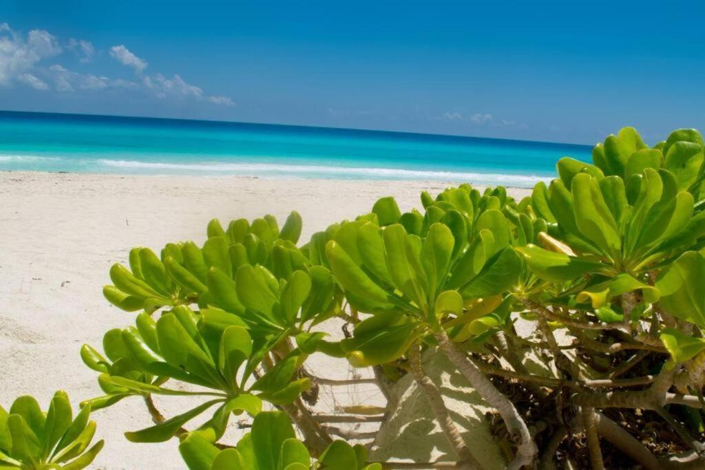 Ocean View Apartment, Best Beach Area, 3 Bedrooms Cancun Bagian luar foto